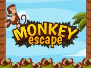 Игра Побег обезьяны 