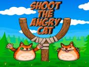 Игра Стрельба котами