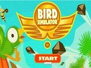 Игра Bird Simulator