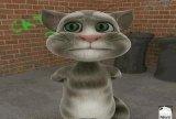 Игра Talking Tom Cat