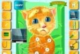 Игра Ginger Heart Surgery